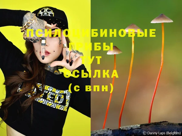 гашиш Баксан