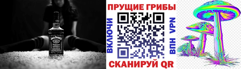 Псилоцибиновые грибы прущие грибы Северо-Курильск